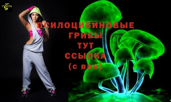 МДПВ Армянск