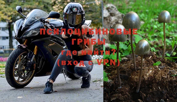 МДПВ Армянск