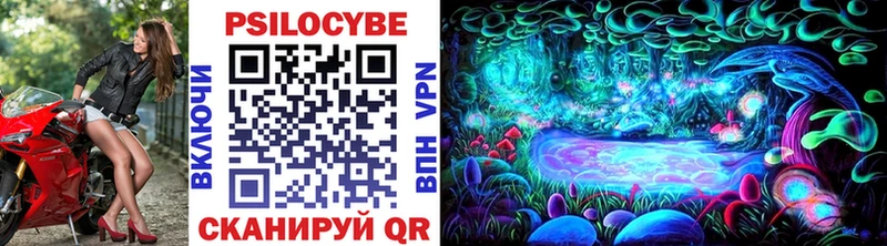 где купить наркотик  блэк спрут   Псилоцибиновые грибы Psilocybine cubensis  Харабали 