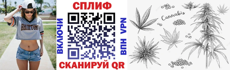 Бошки марихуана план  дарнет шоп  Харабали 